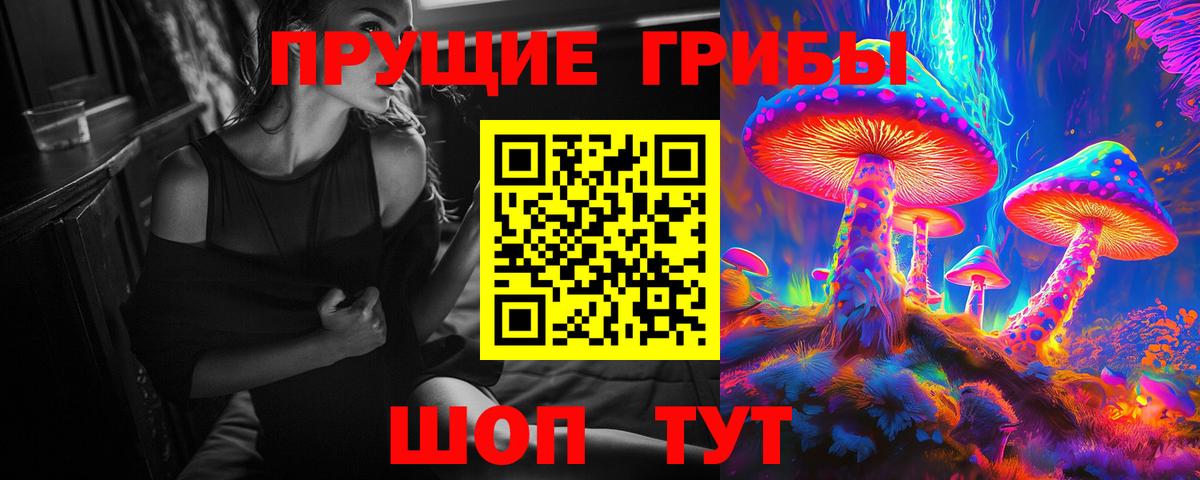 Псилоцибиновые грибы мицелий  Галлюциногенные грибы Psilocybine cubensis  Димитровград  Вход с VPN 